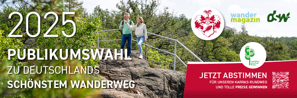 Publikumswahl