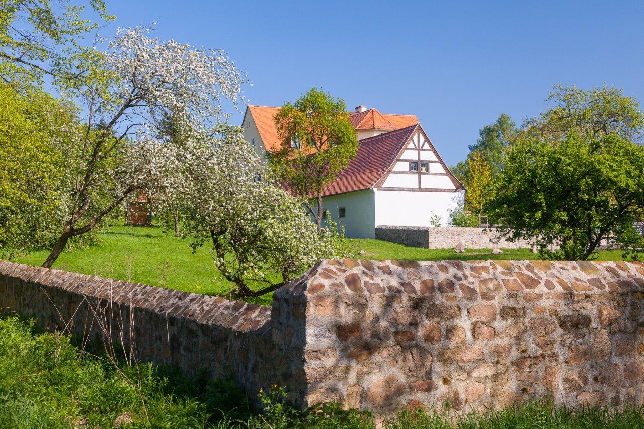 Publikumswahl