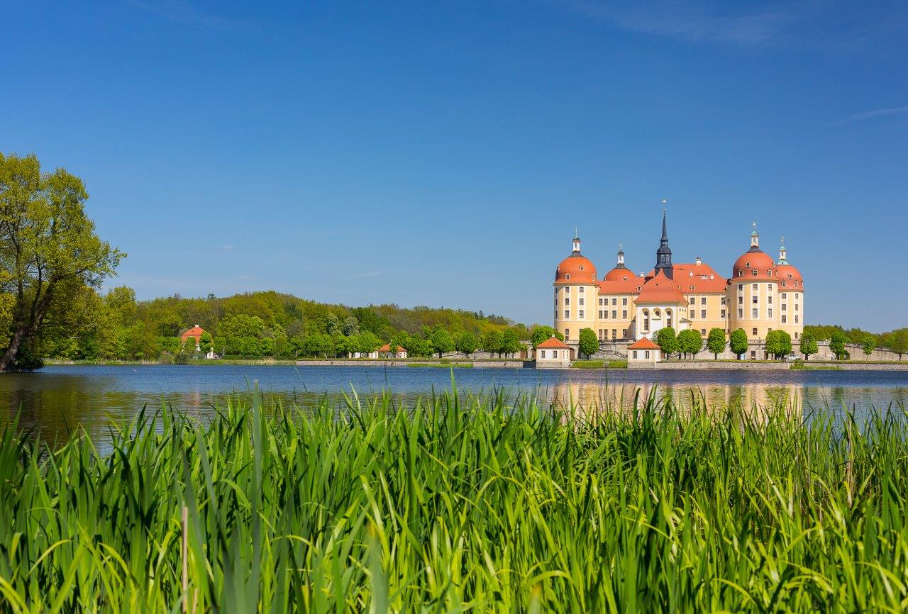 Publikumswahl